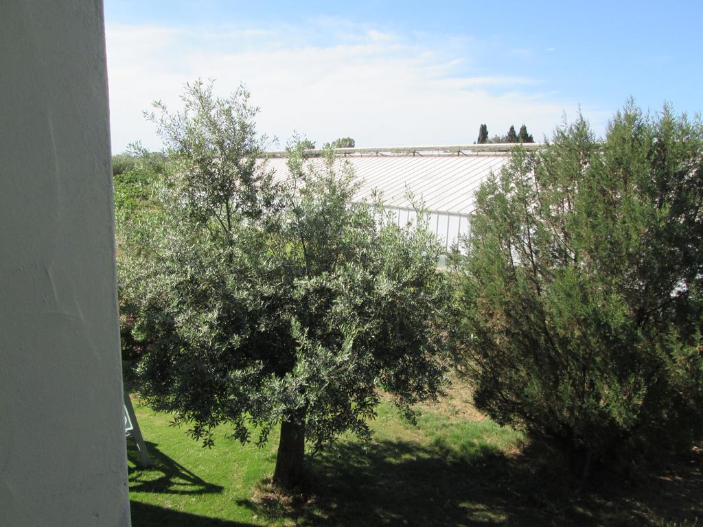 Agriturismo Bingia Bonaria Pula Exterior photo